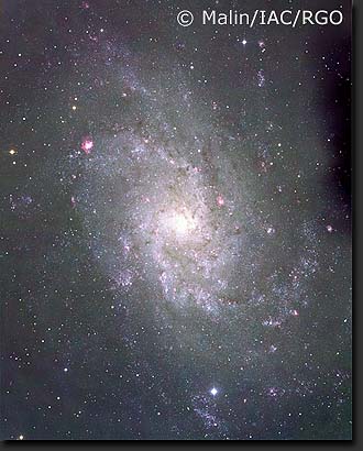 M33 - The Triangulum Galaxy