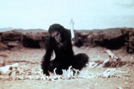 2001-Ape