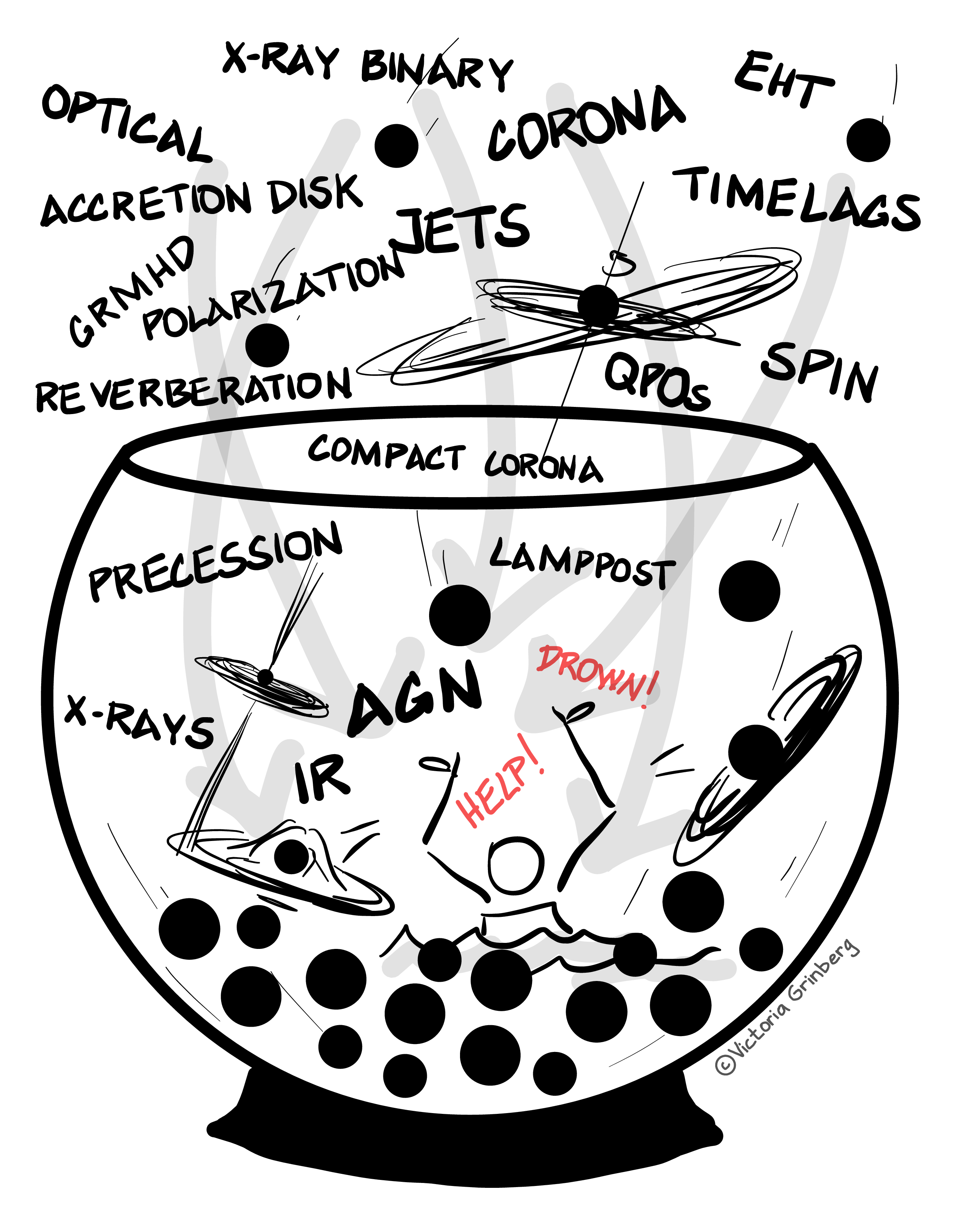 Mostly flack and white digital drawing of a fish bowl half-filled with black circles representing black holes, with more black holes, some of them with accretion disk and jets falling in. Words also falling into the bowl: X-ray binary, corona, EHT, time lags, spin, QPOs, jets, optical, accretion disk, GRMHD, polarizaion, precession, lamppost, AGN, X-rays, precession, IR. A stick person is drowning in the bowl and shouting for help.