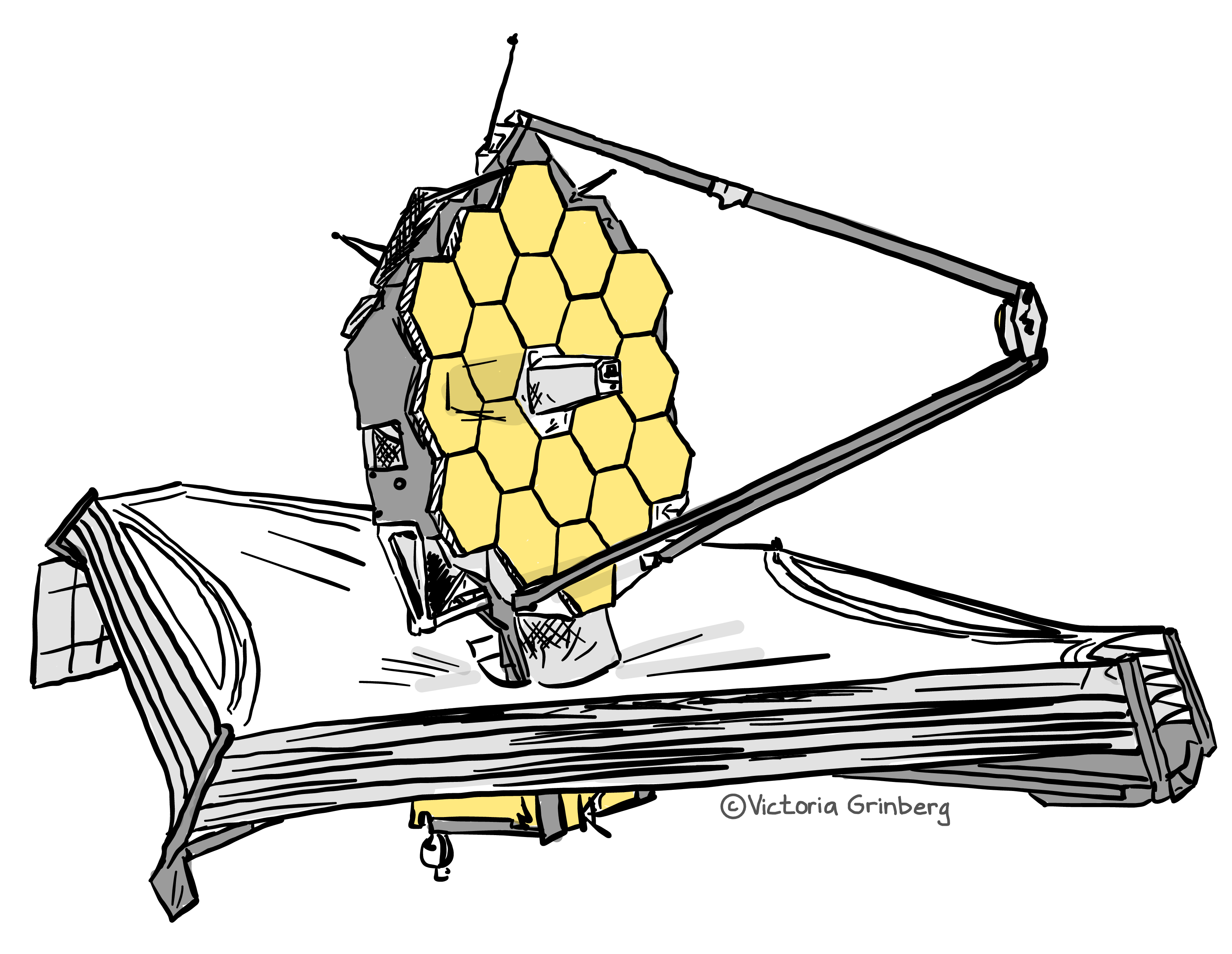 Mostly flack and white digital drawing of the JWST, with gold highlight for the mirror and some of the electronics.