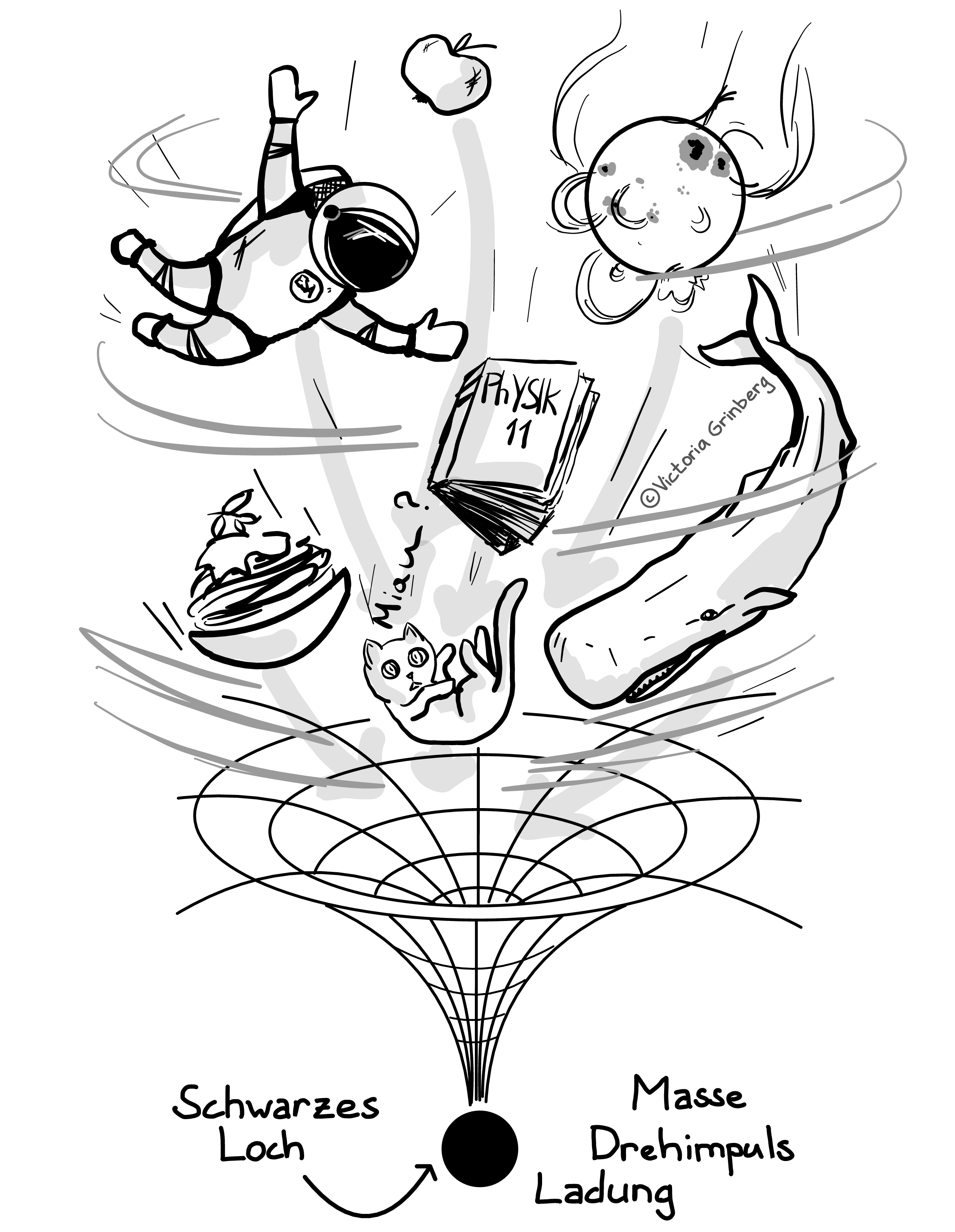A black & white stylized sketch of things falling into a black hole: a cat, a whale, a star, an apple, a physics book, a bowl of pasta, an astronaut ... And the final black hole only has mass, angular momentum and charge (marked as words in German).