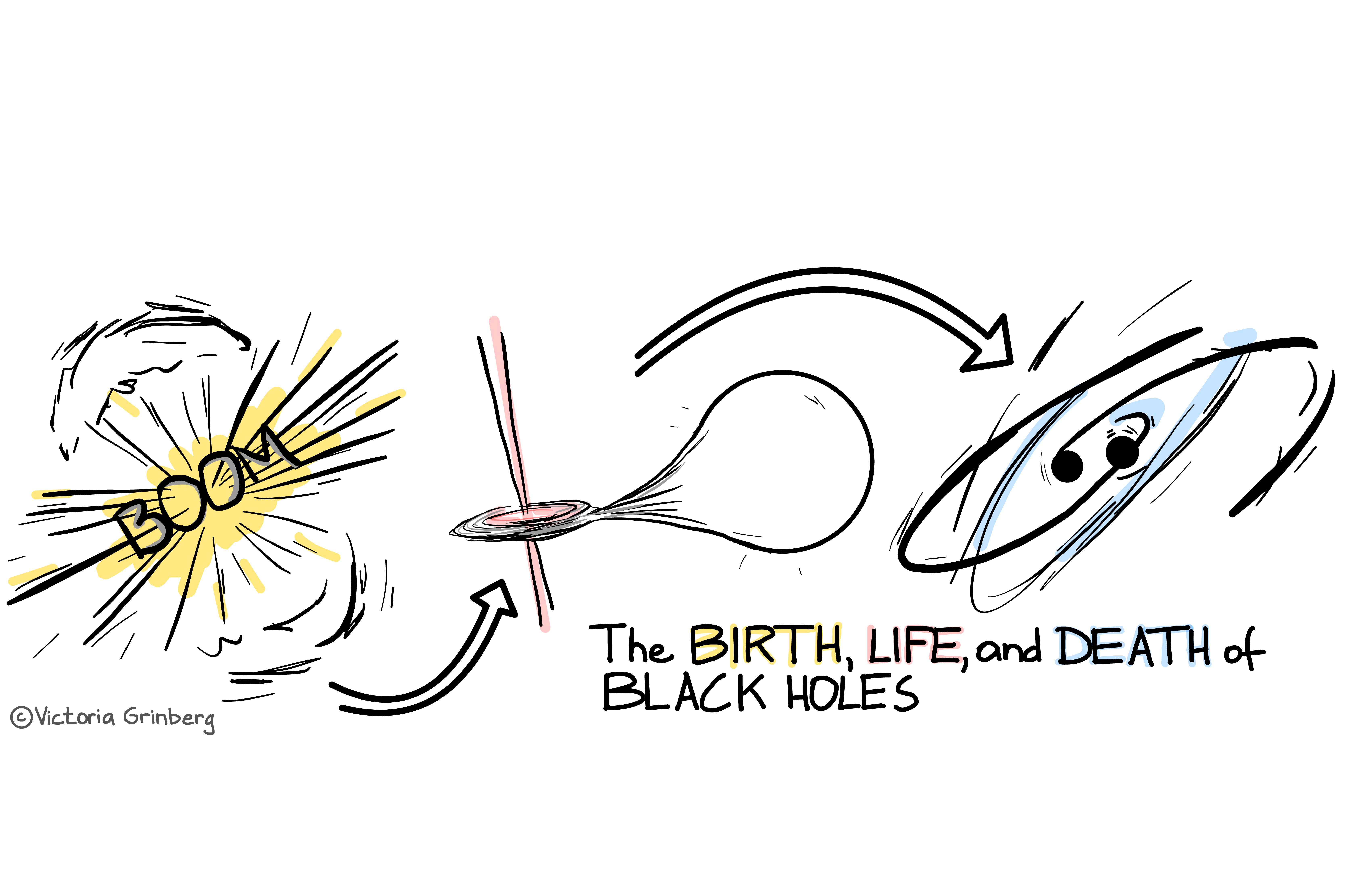 Black & white sketches of a supernova explosion (highlights in yellow), an accreting X-ray binary (highlights in red) and a binary black hole inspiral (highlights in blue) connected by arrows. Writing in black: The Birth (yellow shadows), Life (red shadows) and Death (blue shadows) of black holes.