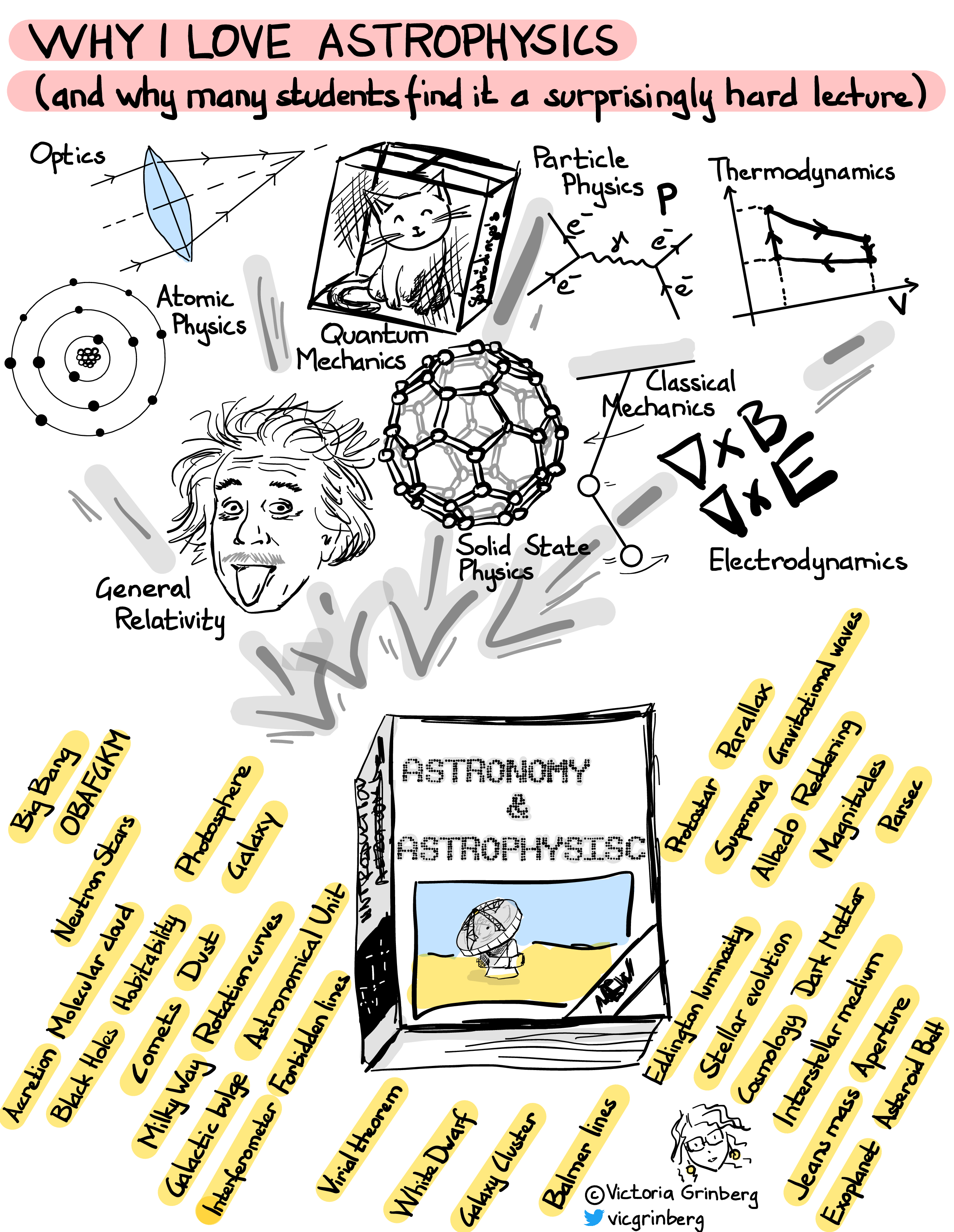 Sketches of different areas of physics (optics, atomic physics, general relativity, quantum mechanics, solid state physics, electrodynamics, classical mechanics, particle physics, thermodynamics) falling into a book with the title 