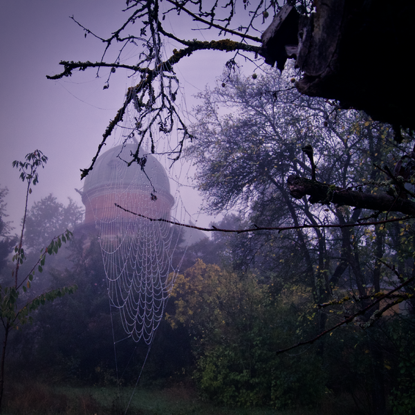 File:October 2021 1.png