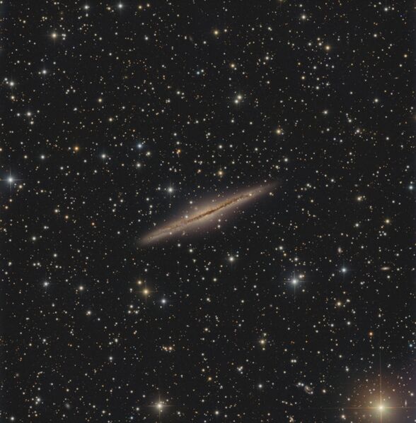 File:NGC891 weber 2021.jpg