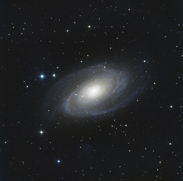 M81 Steven Haemmerich.jpg