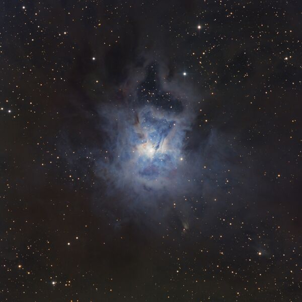 File:NGC7023 weber 2024.jpg