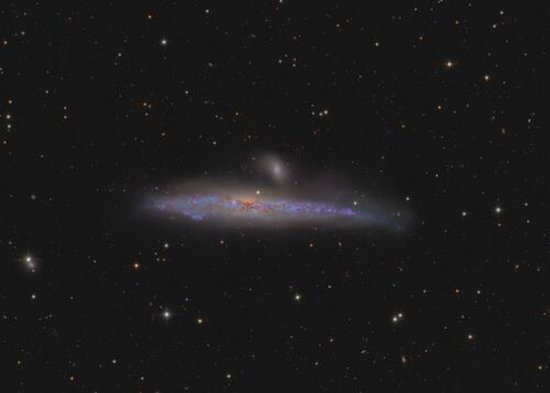 NGC4631 weber 2022.jpg