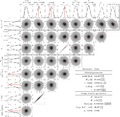 Distribution matrix.png