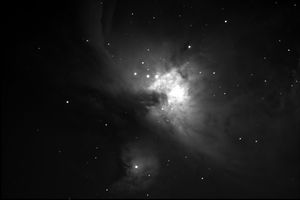 M42 avrg.jpg